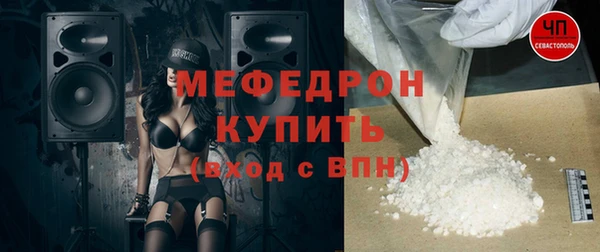 МДПВ Ельня