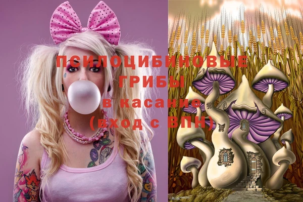 apvp Алексеевка